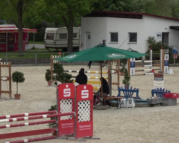 Reitturnier Ingolstadt-Hagau/Obb. 2024