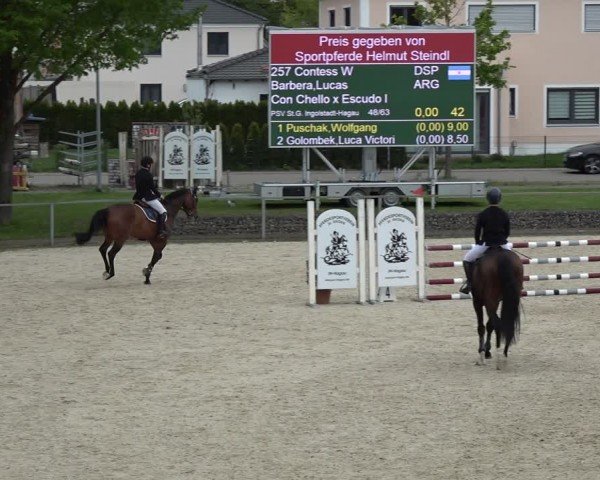 Reitturnier Ingolstadt-Hagau/Obb. 2024