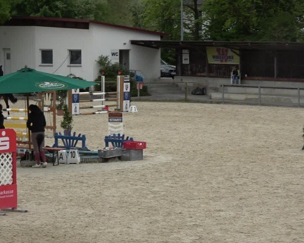 Reitturnier Ingolstadt-Hagau/Obb. 2024