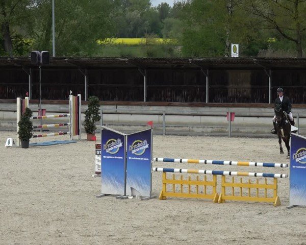 Reitturnier Ingolstadt-Hagau/Obb. 2024