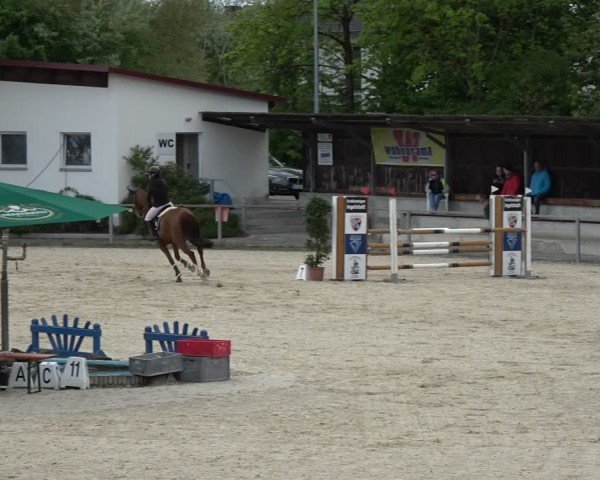 Reitturnier Ingolstadt-Hagau/Obb. 2024