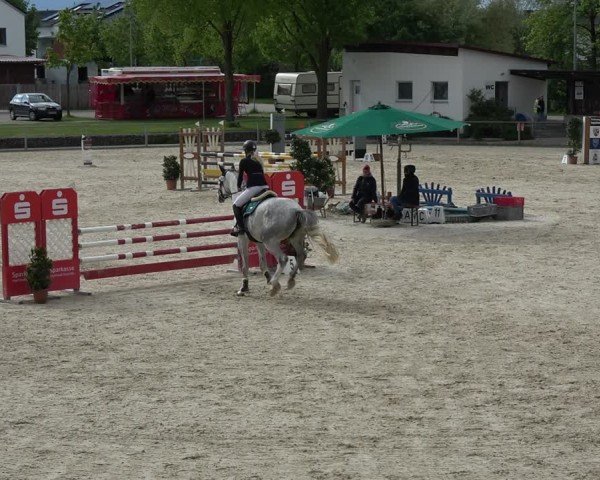 Reitturnier Ingolstadt-Hagau/Obb. 2024