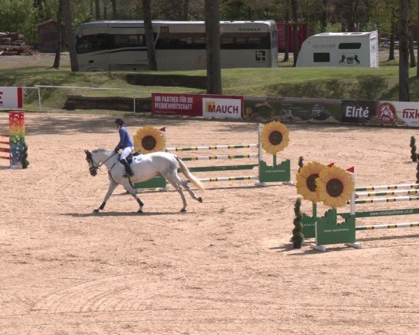 FEI Springturnier Stadl Paura 2024