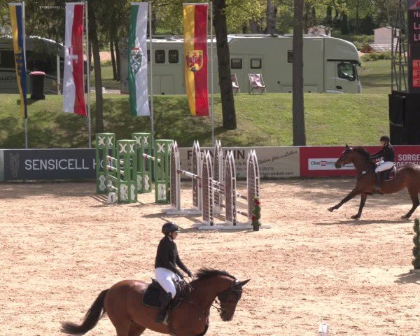 FEI Springturnier Stadl Paura 2024