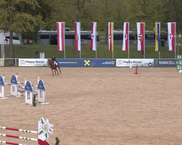 FEI Springturnier Stadl Paura 2024