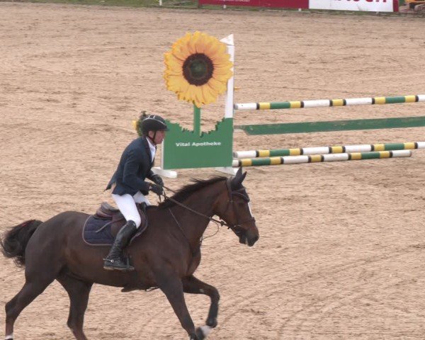 FEI Springturnier Stadl Paura 2024