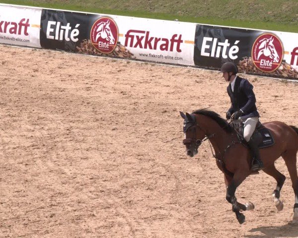 FEI Springturnier Stadl Paura 2024