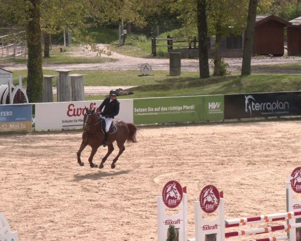 FEI Springturnier Stadl Paura 2024