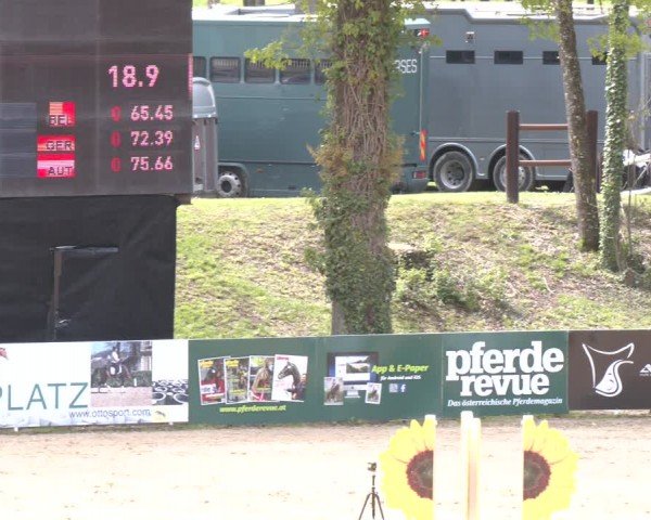 FEI Springturnier Stadl Paura 2024