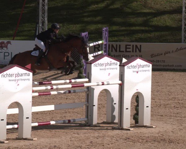 FEI Springturnier Stadl Paura 2024
