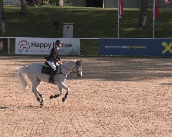 FEI Springturnier Stadl Paura 2024