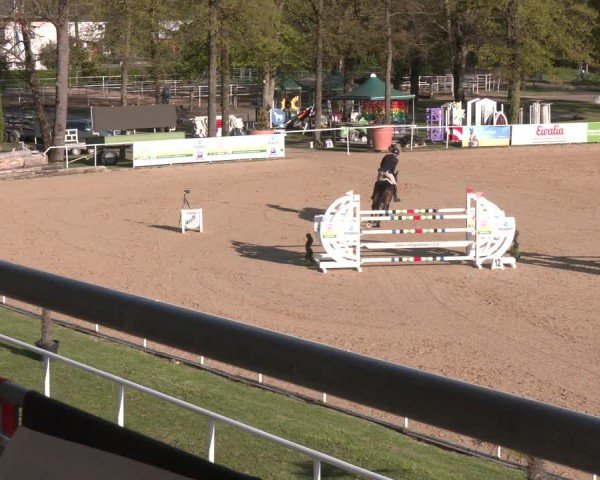 FEI Springturnier Stadl Paura 2024