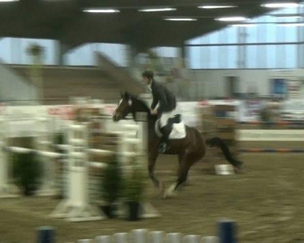 Hallenspringturnier Borken 2012