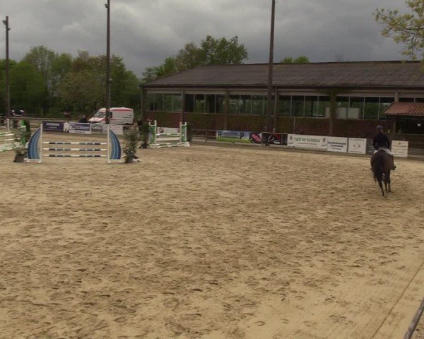Reitturnier Nienberge 2024