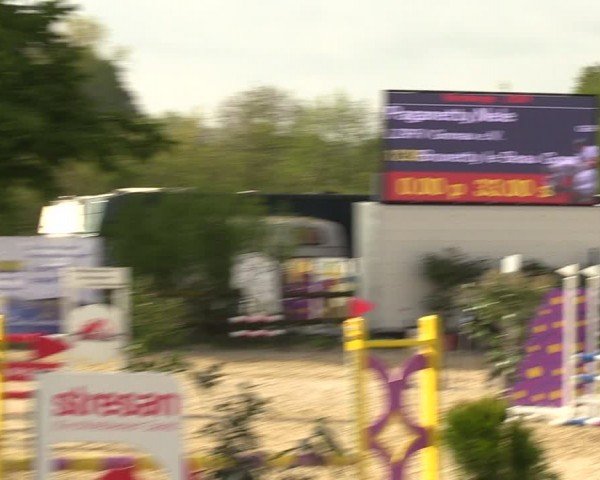 Reitturnier Nienberge 2024