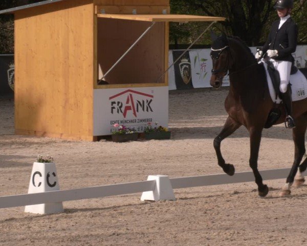 Reitturnier Karlsfeld/Obb. 2024
