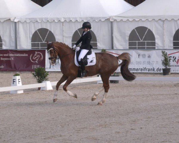 Reitturnier Karlsfeld/Obb. 2024
