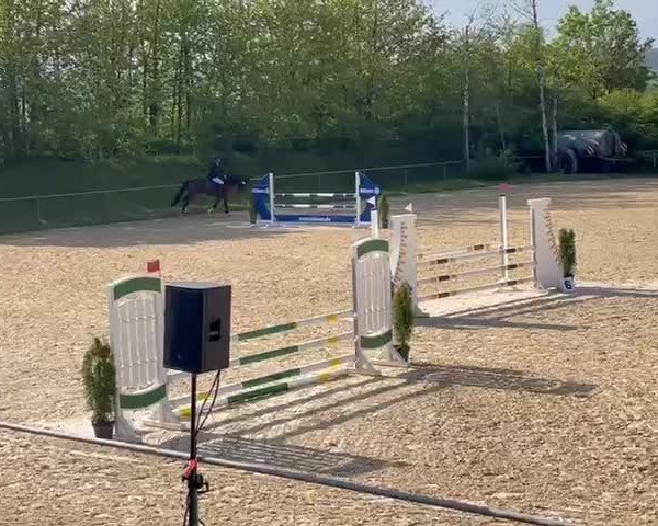 Video von Stubbenhof's Over the Top