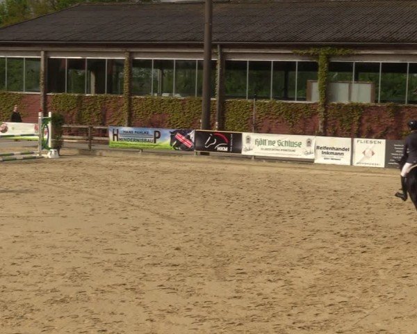 Reitturnier Nienberge 2024