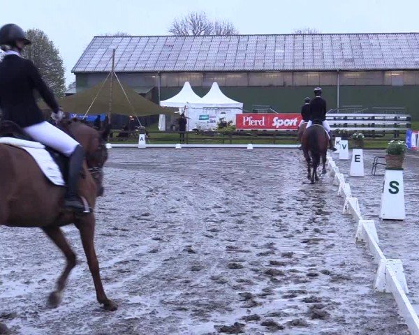 Reitturnier Ladelunder Turniertage 2024