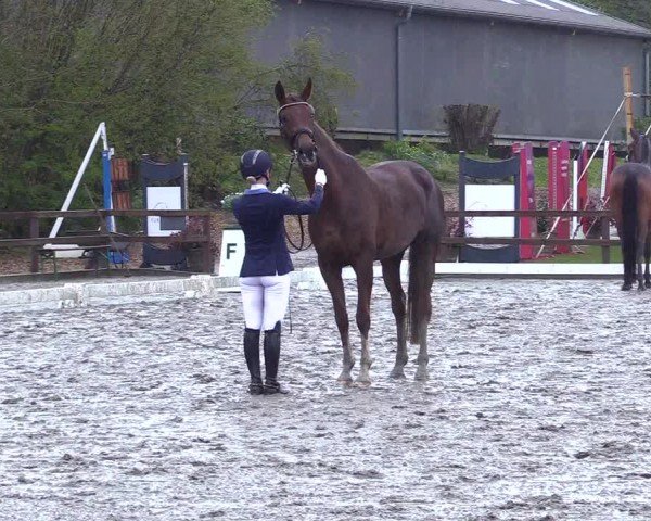Reitturnier Ladelunder Turniertage 2024