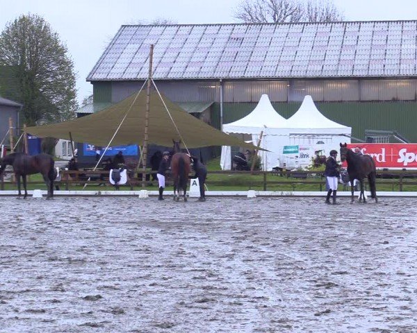 Reitturnier Ladelunder Turniertage 2024
