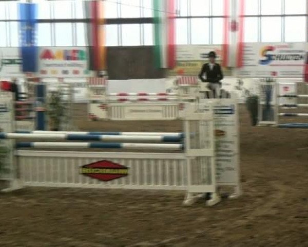 Hallenspringturnier Borken 2012