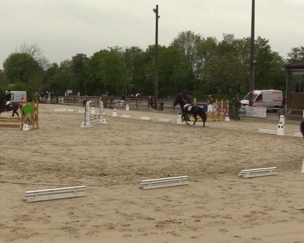 Reitturnier Nienberge 2024