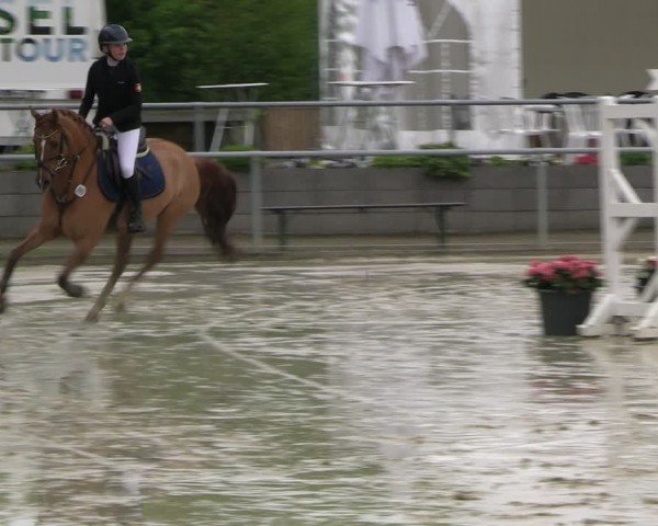 Reitturnier Olfen-Vinnum 2024