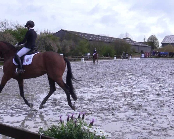 Reitturnier Ladelunder Turniertage 2024