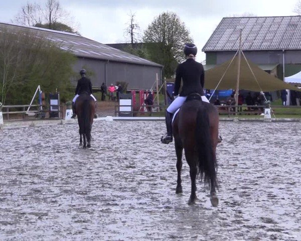 Reitturnier Ladelunder Turniertage 2024