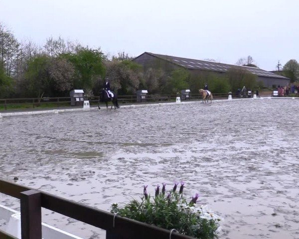 Reitturnier Ladelunder Turniertage 2024