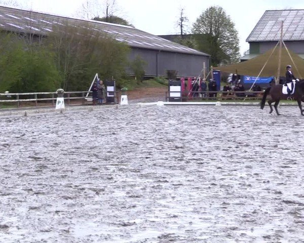 Reitturnier Ladelunder Turniertage 2024