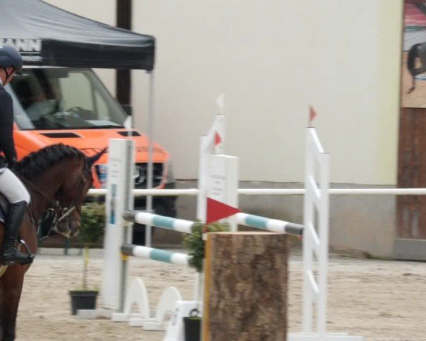 Reitturnier Großostheim/Ufr. 2024