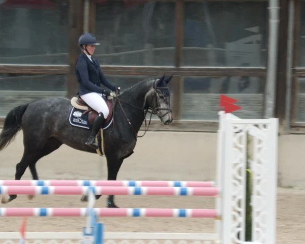 Reitturnier Großostheim/Ufr. 2024