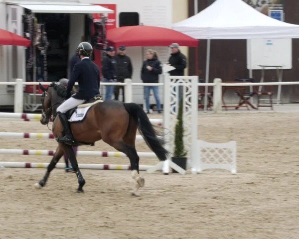 Reitturnier Großostheim/Ufr. 2024