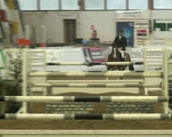 Hallenspringturnier Borken 2012