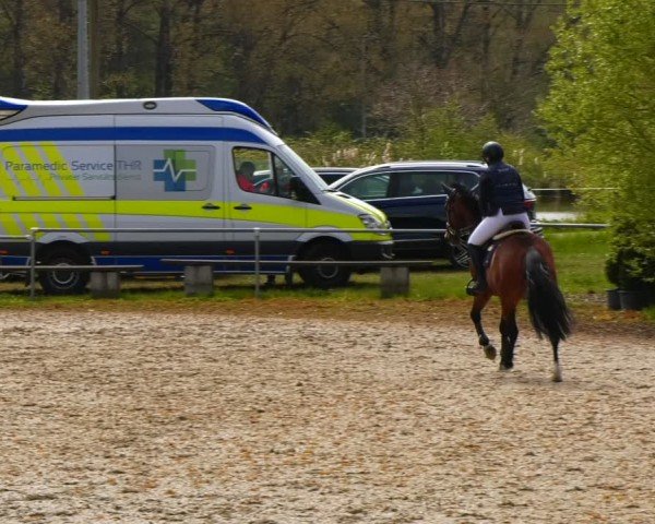 Reitturnier Bad Liebenstein/Sorga 2024