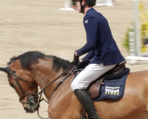 Reitturnier Großostheim/Ufr. 2024