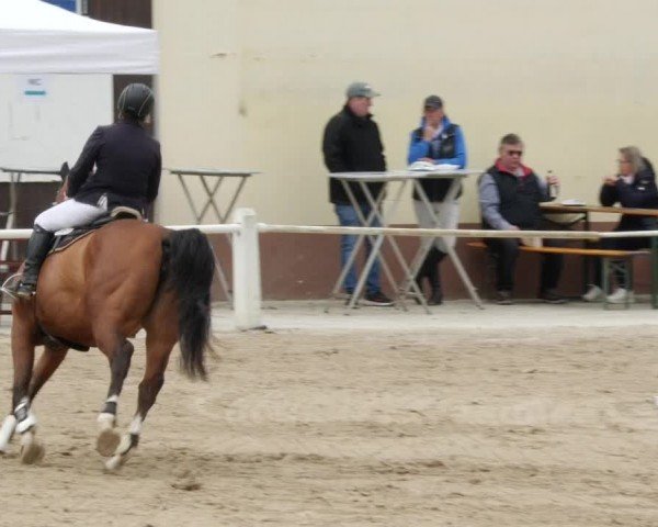 Reitturnier Großostheim/Ufr. 2024