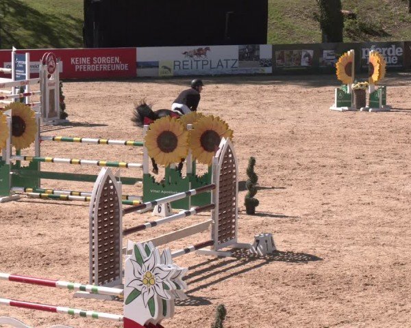 FEI Springturnier Stadl Paura 2024