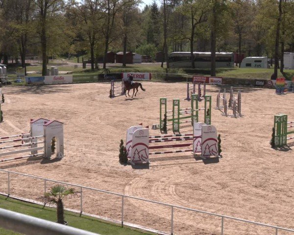 FEI Springturnier Stadl Paura 2024