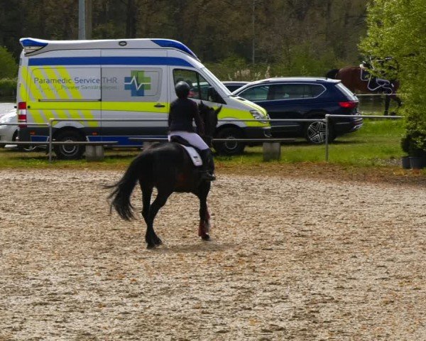 Reitturnier Bad Liebenstein/Sorga 2024