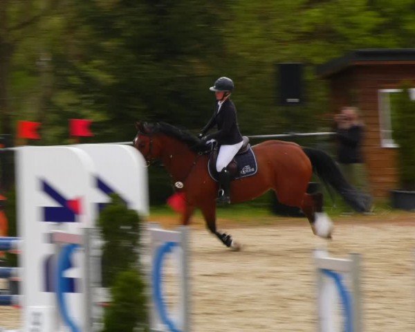 Reitturnier Bad Liebenstein/Sorga 2024