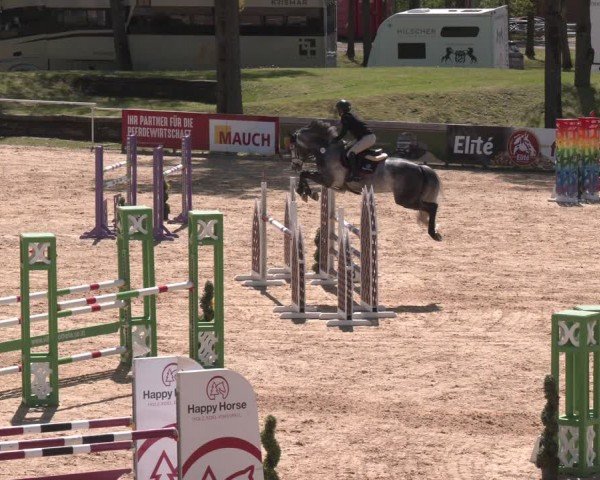 FEI Springturnier Stadl Paura 2024
