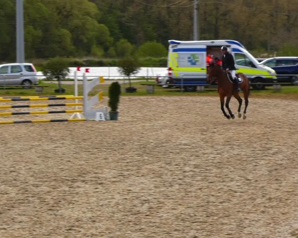 Reitturnier Bad Liebenstein/Sorga 2024