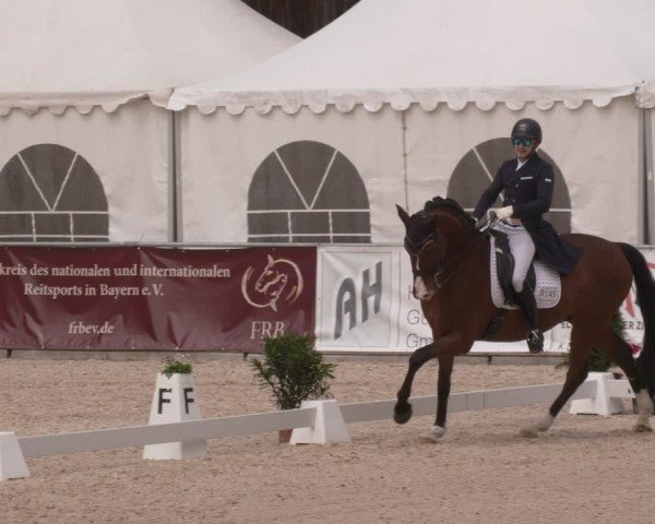 Reitturnier Karlsfeld/Obb. 2024