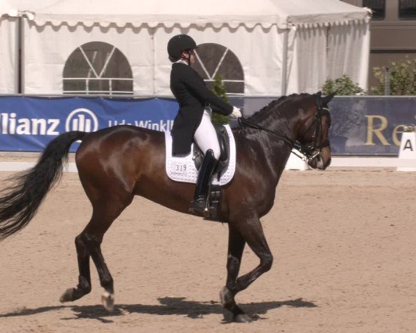 Reitturnier Karlsfeld/Obb. 2024
