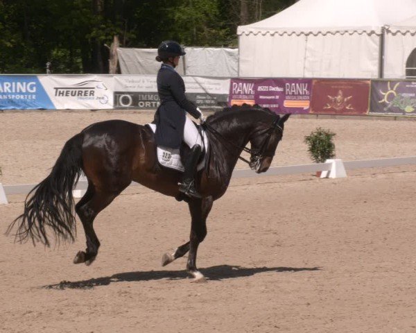 Reitturnier Karlsfeld/Obb. 2024