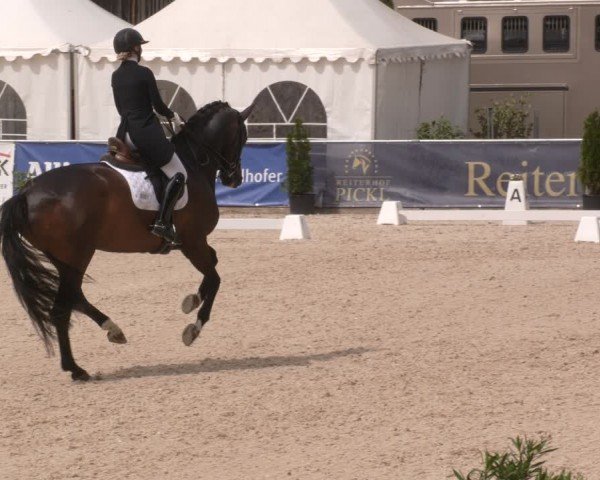 Reitturnier Karlsfeld/Obb. 2024